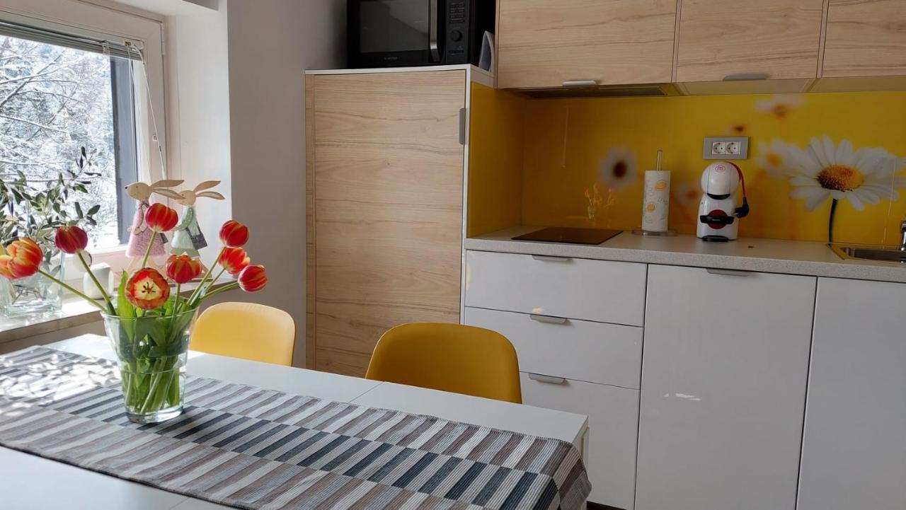 Apartma Marjetica Gozd Martuljek Luaran gambar